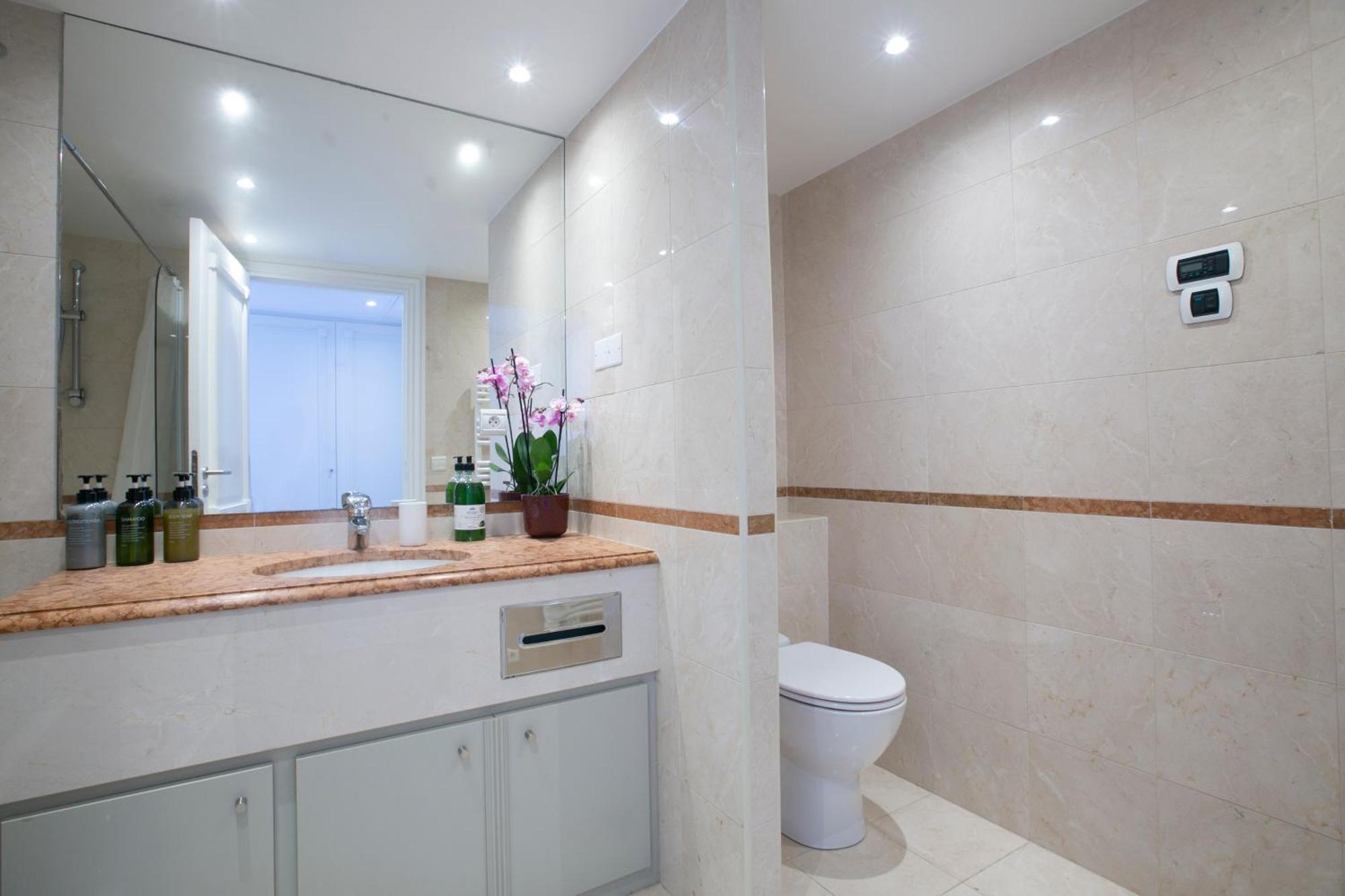Magnificient 2 Bedrooms With Terrace Next To Champs-elysees - Pc62b Apartment Paris