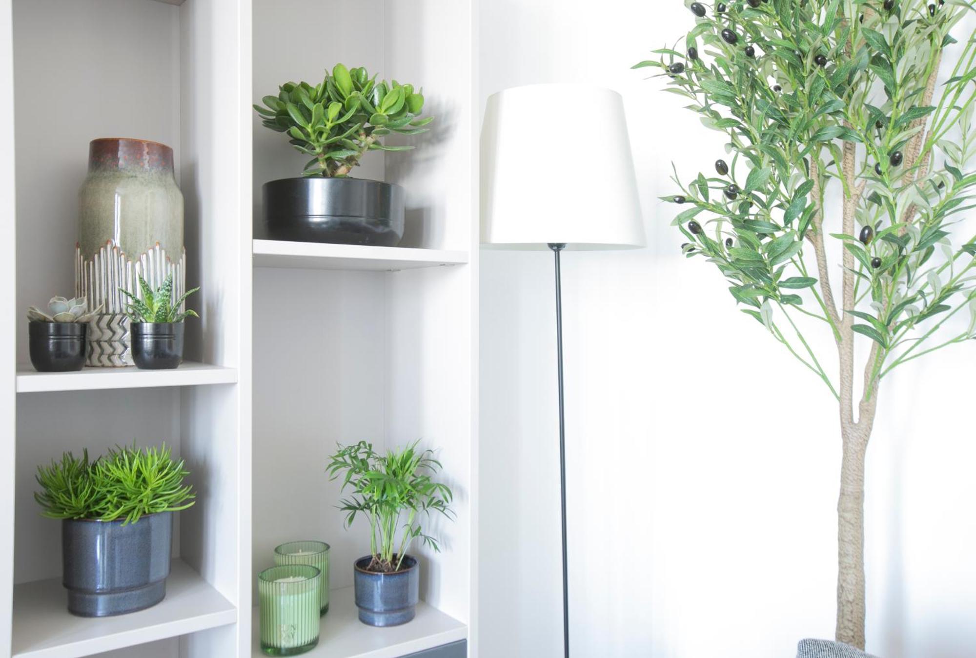 Magnificient 2 Bedrooms With Terrace Next To Champs-elysees - Pc62b Apartment Paris